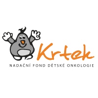 website template image